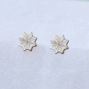 Sincerely Ginger Jewelry 14K Burst Minimalistic Stud Earrings in Yellow Gold